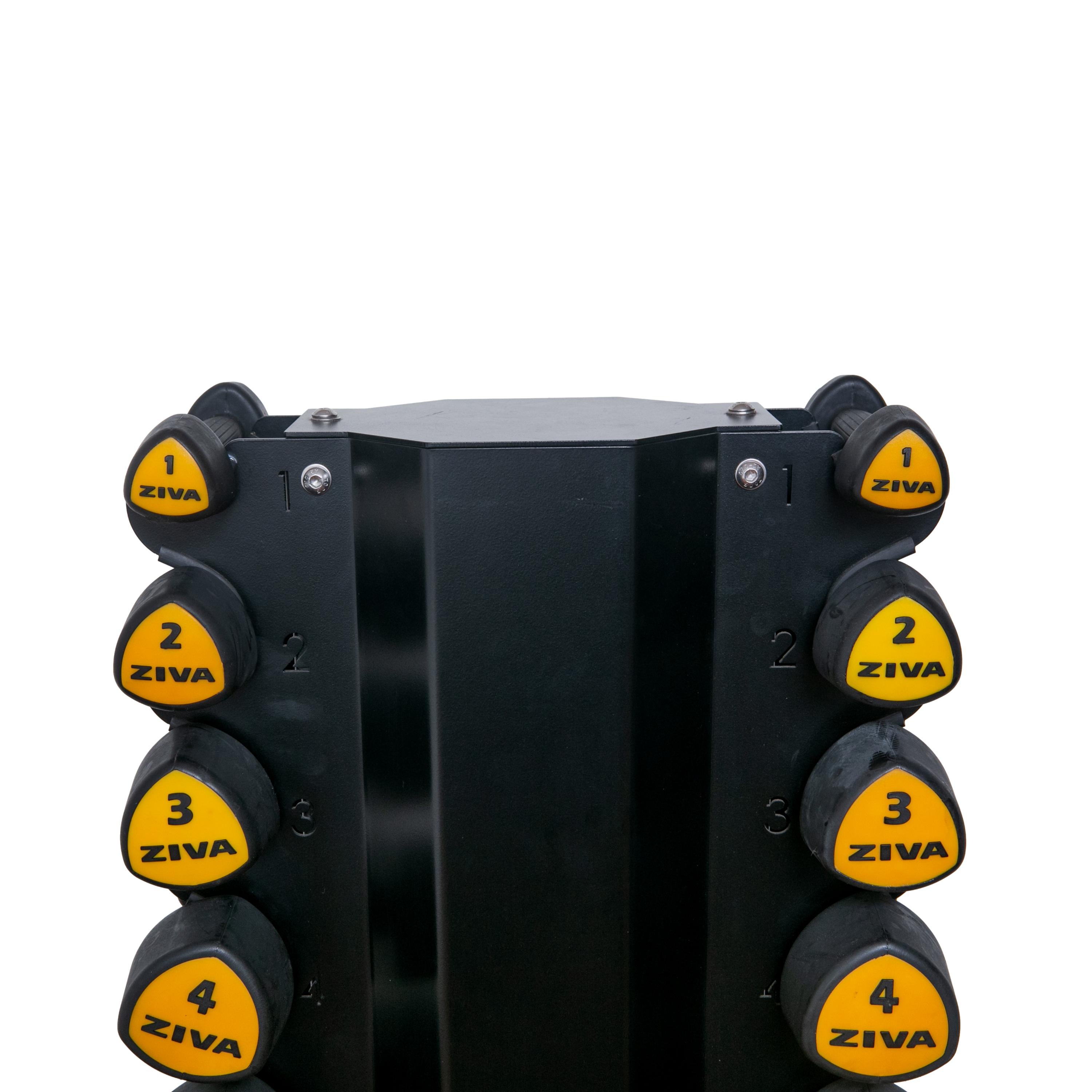 Rack Roppe Com Halteres Tribell PU ZVO 3.1 Amarelos Ziva