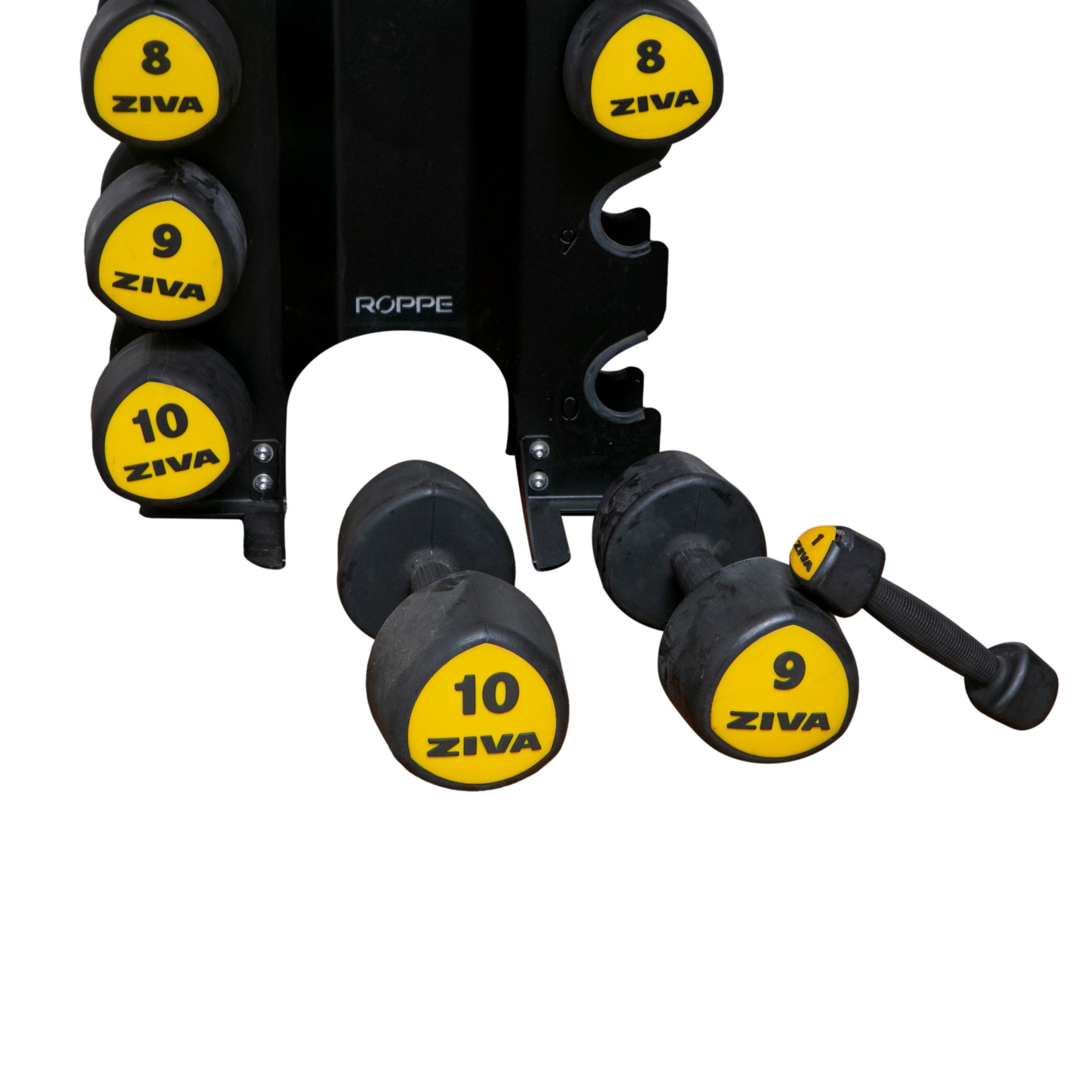 Rack Roppe Com Halteres Tribell PU ZVO 3.1 Amarelos Ziva