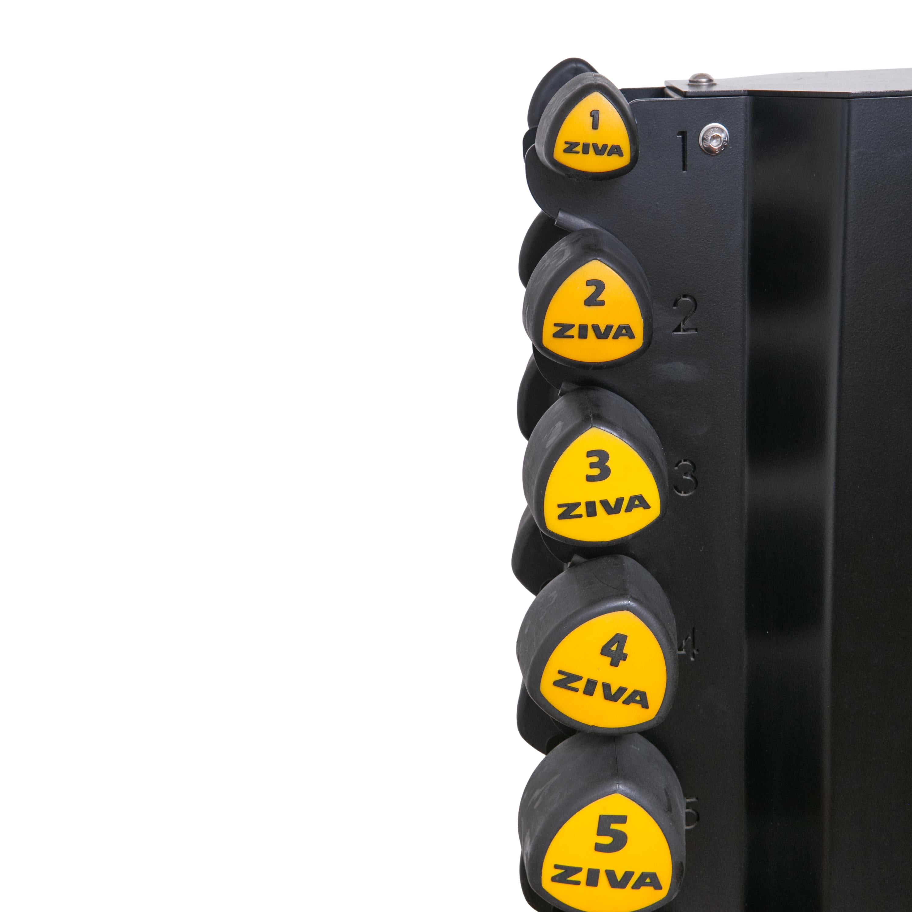 Rack Roppe Com Halteres Tribell PU ZVO 3.1 Amarelos Ziva